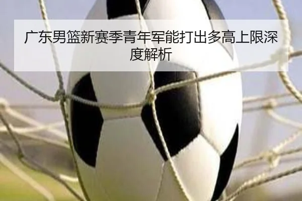 广东男篮新赛季青年军能打出多高上限深度解析